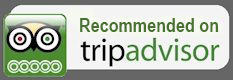trip advisor